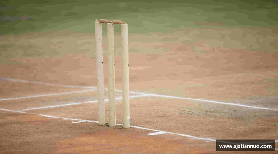 bsports必一网页版汗水浇灌梦想，坚持成就辉煌